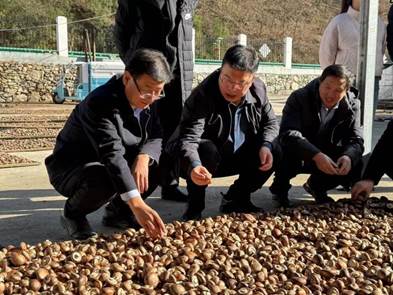 3c831651506a9d3d217dbb8584d9fba